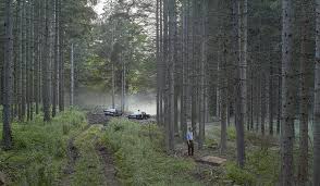 Image result for gregory crewdson