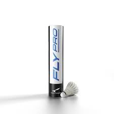 Image result for Flukey Feathers Badminton Club