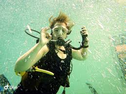 Image result for Bedford Scuba Divers