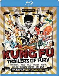 Image result for kung fu