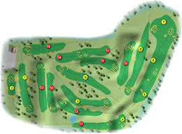 Image result for Ballymena Road Club