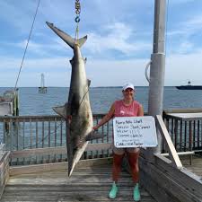 Image result for South Axholme Sharks Asc