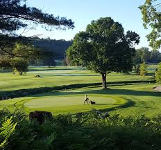 Image result for Uwe Golf Club