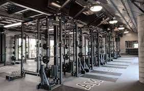 Image result for Angmering School Of Gym