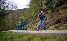 Image result for Go Ape! Whinlatter