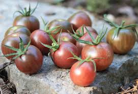 Afbeeldingsresultaat voor black cherry tomato