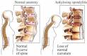 Your Health -