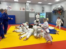 Image result for Phoenix Star Judo Club
