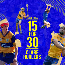 Image result for Clarehurlers