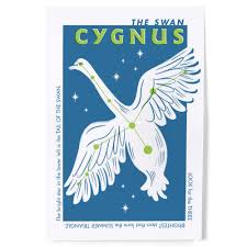 Attēlu rezultāti vaicājumam “Cygnus”