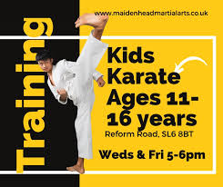 Image result for Maidenhead Karate Club
