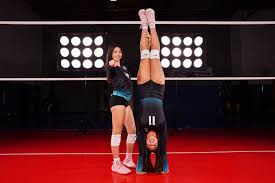 Image result for Devizes Volleyball Club