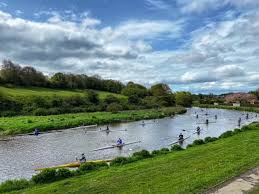 Image result for Cambois Amateur Rowing Club