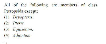 Attēlu rezultāti vaicājumam “Pteropsida”