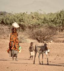 Image result for Nomads