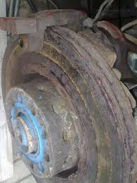 Картинки по запросу белку зажевало в диск