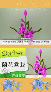 「扭蘭」的圖片搜尋結果