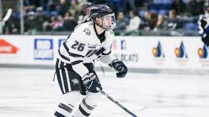 Image result for Blackburn Northern Hockey Club