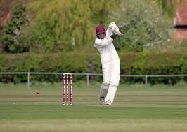 Image result for Clifton Alliance Cc