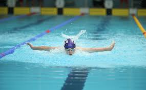 Image result for Cults Otters Amateur Swimming Club