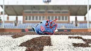 Image result for Stuartfield Bowling Club