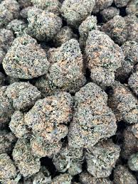 Image result for lulcatz