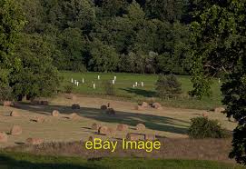 Image result for Westerdale Cricket Club