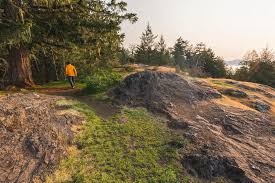 Image result for Boom Hill