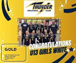 Image result for Sas Netball Club