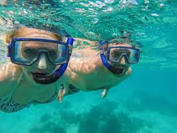 Image result for Ruislip Snorkelling Club