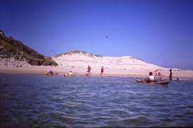 Image result for Battersea Canoe Club