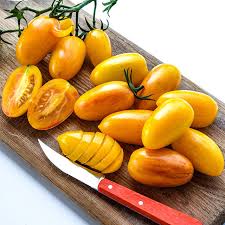 Afbeeldingsresultaat voor blushing yellow tomato