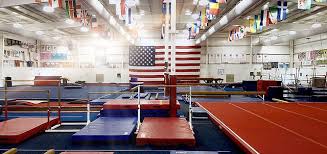 Image result for Gym Stars