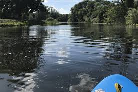 Image result for Maldon Canoe Club