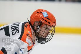 Image result for Telford Junior Ice Hockey Club