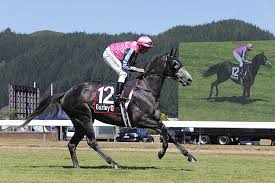 Resultado de imagen para sliced horse