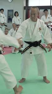 Image result for Harrow Shorinji Kempo