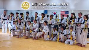 Image result for L&G Acrobatics