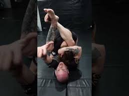 Image result for TRIANGLE CHANGQUAN FLYING DRAGON