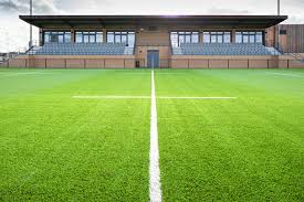 Image result for Dings Crusaders Rugby Football Club