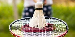 Image result for Manchester Feathers Badminton Club