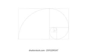 Image result for numero aureo