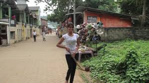 Image result for pinawella