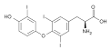 <b>Triiodothyronine</b>.