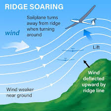 Image result for General Tomfoolery Slope Soarers