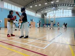 Image result for Leighton Buzzard Tae Kwon-Do Club