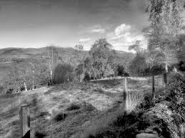 Image result for Glenfarg-Arngask Bowling Club