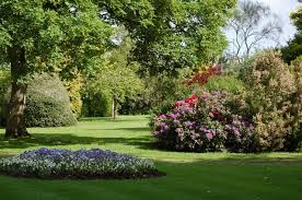 Image result for Musgrave Bowling Club