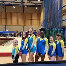 Image result for Abbey Flyers Trampoline Club