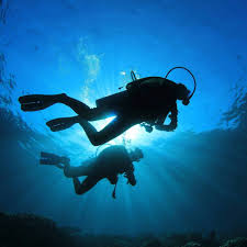 Image result for Deep and Wide Diving